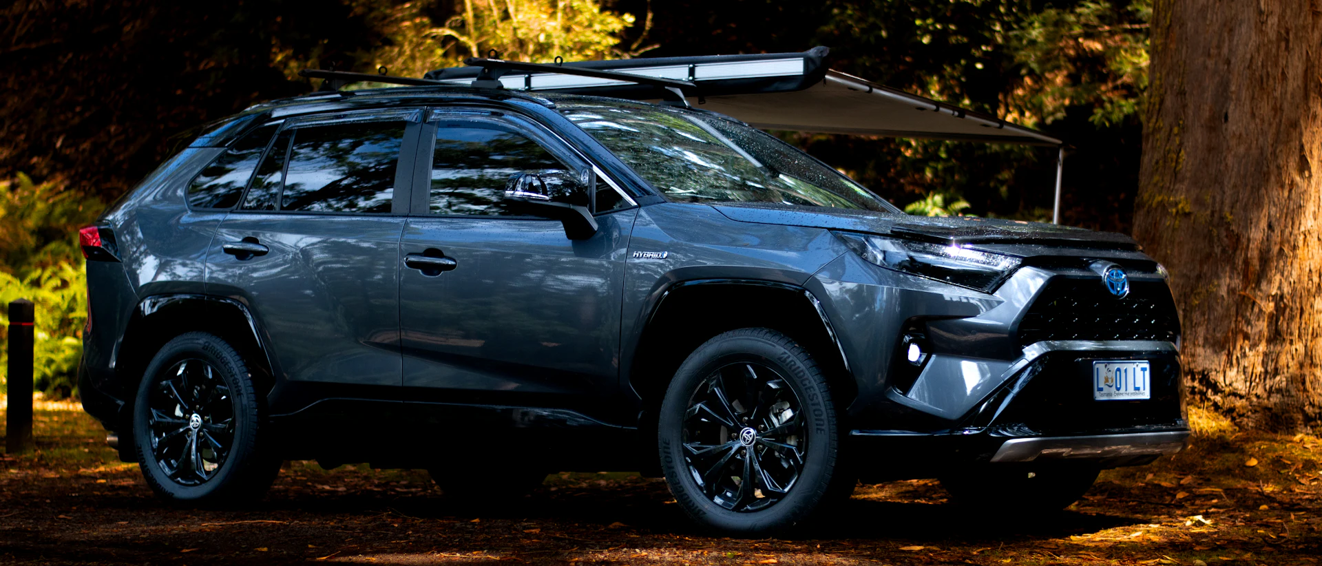Grafit renkli Toyota RAV4 Hybrid, ağaçlık bir alanda park halinde
